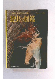 昆虫の図鑑