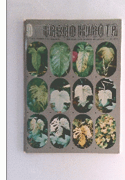 URBAN　KUROTA　1973年9月号