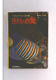 魚貝の図鑑