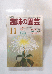 趣味の園芸　11月号