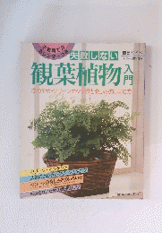 観葉植物　さわやかグリーンカタログと楽しみ方、育て方