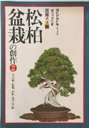 松柏 盆松