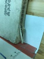 各科教授指針