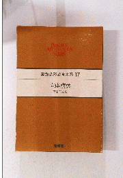 実践造形教育大系 17