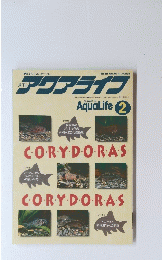 アクアライブ　2