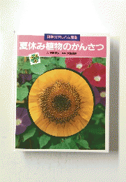 夏休み植物のかんさつ