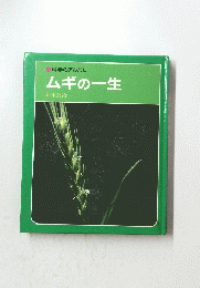 ムギの一生