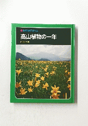 高山植物の一年