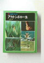 科学のアルバム　アカトンボの一生