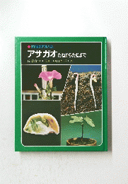 科学のアルバム　アサガオたねからたねまで
