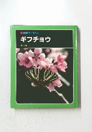科学のアルバム　ギフチョウ