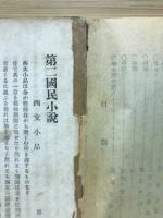 第二国民小説