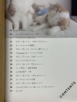 ねこうちさん　猫と山内と時々犬
