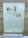 野の草の手帖 : 彩色図版と文献例とでつづる草の歳時記 第1版