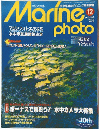 Marine photo 12 Dec.1997