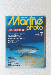 Marine　photo 1995年7月