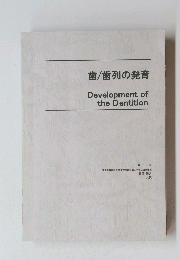 歯/歯列の発育