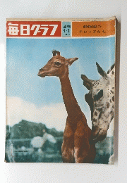 毎日クラフ