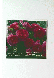 Handbook of Roses　2nd Japanese Edition