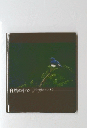 自然の中で　野鳥や動物たちとの出会い