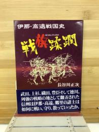 戦旗蹂躙　伊那・高遠戦国史