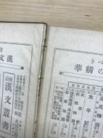 文は人なり : 樗牛文篇
