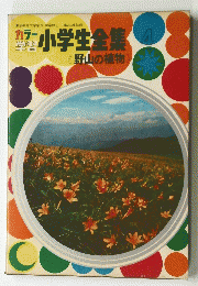 小学生全集　4