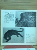 第十回記念 日展鑑賞手帖