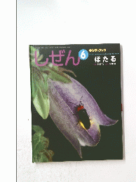 しぜん 6　平成25年6月1日発行