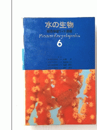 水の生物　6