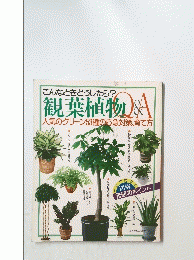 観葉植物 Q&A