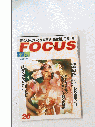 FOCUS　26