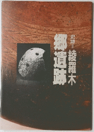 郷遺跡　史跡　綾羅木