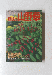 趣味の山野草　自然を守り緑を育てる月刊誌　1992年10月