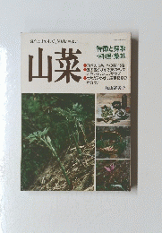 山菜