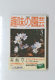 趣味の園芸　2000年3月号