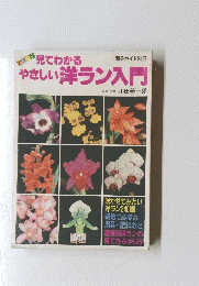 見てわかるやさしい洋ラン入門