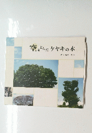 空をどんだケヤキの木