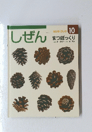 しぜん　10　まつぼっくり