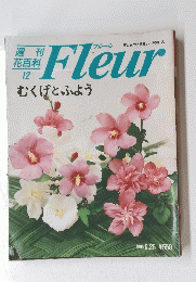 Fleur　1995年5月25日
