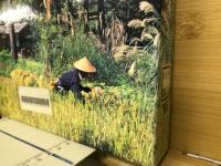 食糧資源の現況と未来  平成７年度版