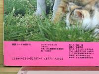 いぬとねこ　　はじめてのえほん38