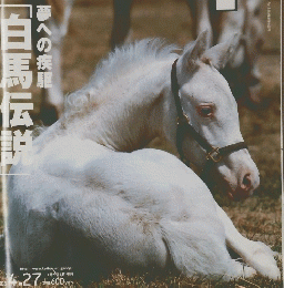 Gallop　2008年4月27日号