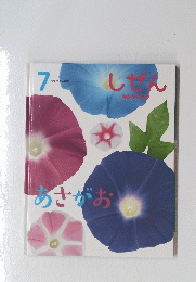 あさがお 7