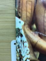 ノンフィクションマガジン　世界の秘境　　第45集12月号