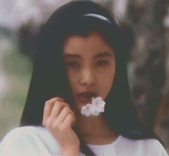 手塚理美写真集 四色の花火 / 古本、中古本、古書籍の通販は「日本の