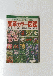 薬草カラー図鑑