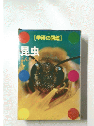 昆虫　こんちゅ