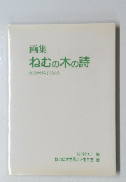 ねむの木の詩　虹をかける子どもたち
