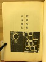 小説　青春発色